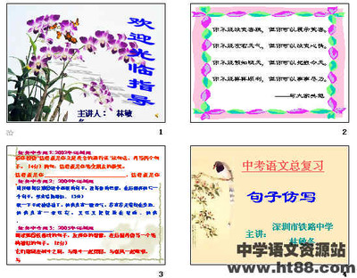 中考語文總復習:句子仿寫ppt